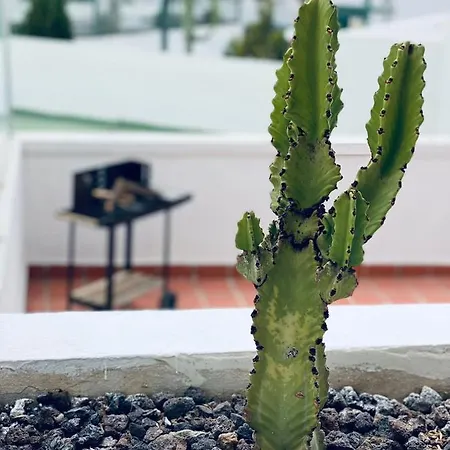 Estrella Del Sur Lägenhet